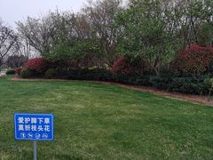 -尚贤河湿地