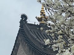 -护国法轮寺