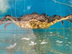 -名超海鲜烧烤大排档