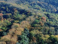 -宜兴龙背山森林公园
