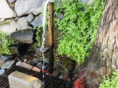 -阳台山自然风景区