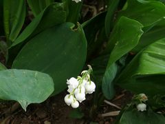 -北京植物园-展览温室