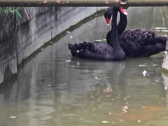 -虹迎轩·中餐厅(虹桥迎宾馆店)