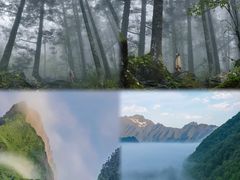 -神农架景区