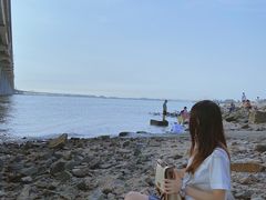 -宝安西湾红树林湿地公园