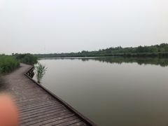 -西青郊野公园