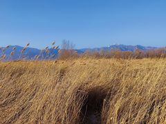 -野鸭湖国家湿地公园