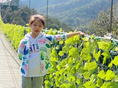 -石燕湖生态旅游景区