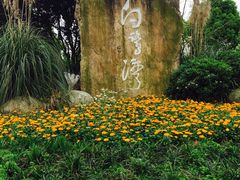 -白鹭湾湿地公园