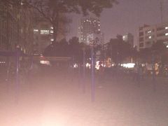 -广西大学(大学东路校区)