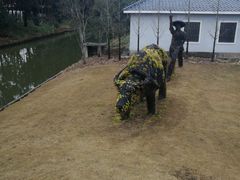 -上海长兴岛郊野公园