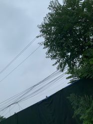 -HEYAN长风荷妍专业脱毛美肤
