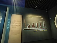 -广西壮族自治区博物馆