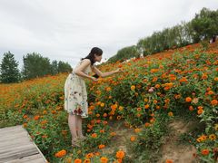 -洨河生态公园