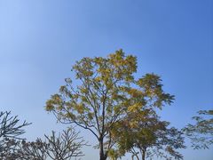 -白石龙音乐公园