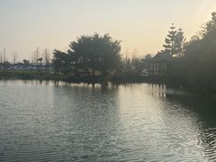 -三垟湿地