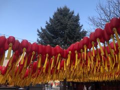 -护国法轮寺