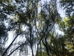 -廊坊市自然公园