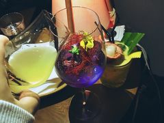 蝴蝶飞舞-RMK Shochu Bar(三诺店)