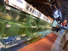 水产区-胖姐渔村(中源大道店)