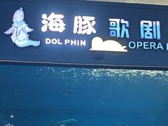 -西安曲江海洋极地公园