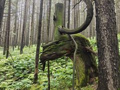 -芦芽山旅游度假区
