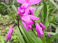 -广州神农草堂中医药博物馆