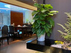 -庭院居(华盛达时代中心店)