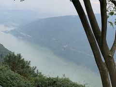 -铁山坪森林公园