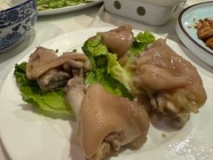 -丁老爷子苏香圆