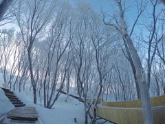 -中旅松花湖滑雪场