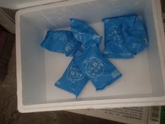 -海霸王（汕头）食品有限公司(上海分公司)