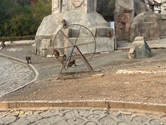 -哈尔滨北方森林动物园