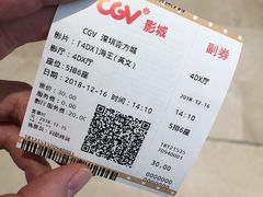 -CGV影城(壹方城IMAX店)