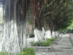 -黄埔古港
