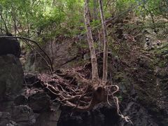 -藏龙百瀑风景区