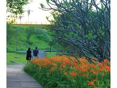 -厦门湾·白塘湾火山公园