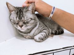 -白夜2D咖啡馆