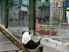 -栾川竹海野生动物园