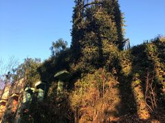 -三鹰之森吉卜力美术馆