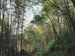 -峨眉山报国寺