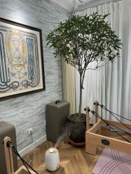 -橙沐普拉提瑜伽