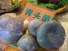 -易门野生菌府·菌海森林(月牙潭公园店)