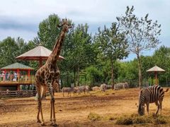 -大连森林动物园