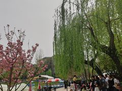 -莲湖公园