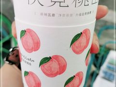 -伏小桃(明瓦廊店)