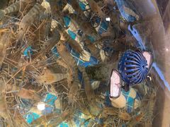 -南海底小海鲜·湘菜(鲁巷吴家湾店)