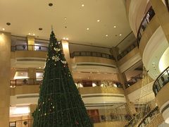 -成都天府丽都喜来登饭店