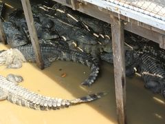 -洞里萨湖