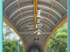 -深圳市宝安体育中心体育场